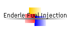 Enderle Fuel Injection