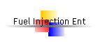 Fuel Injection Ent